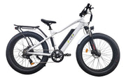 E-Tek Tekbeast Electric Bike - from DT Scooters